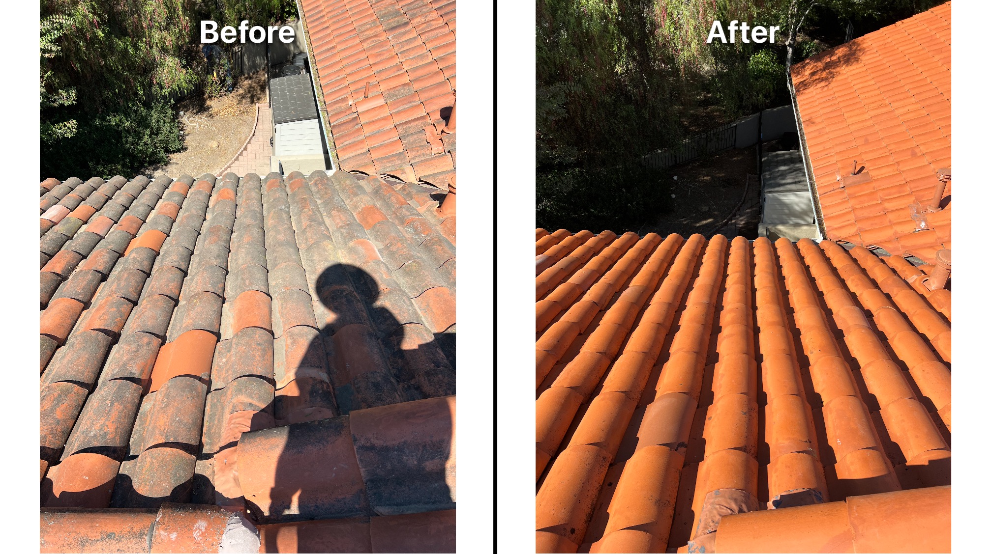 Roof cleaning