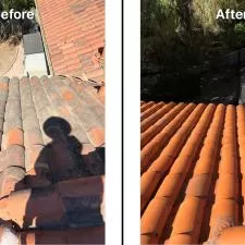 Clay Tile Roof 0