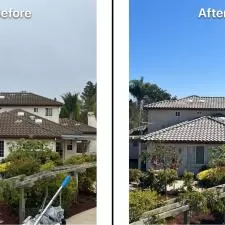 Concrete Roof Cleaning 1