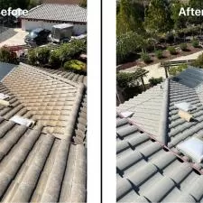 Concrete Roof Cleaning 2