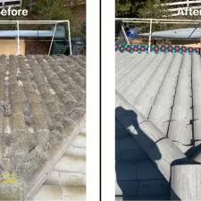 Concrete Roof Cleaning 4