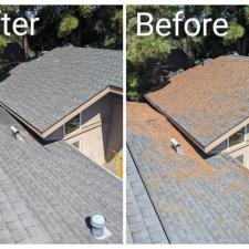 Roof Cleaning in San Luis Obispo, CA