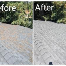 Roof Cleaning San luis 1