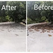 San Luis Obispo Roof Cleaning 1