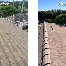 Concrete Tile Roof Cleaning 1