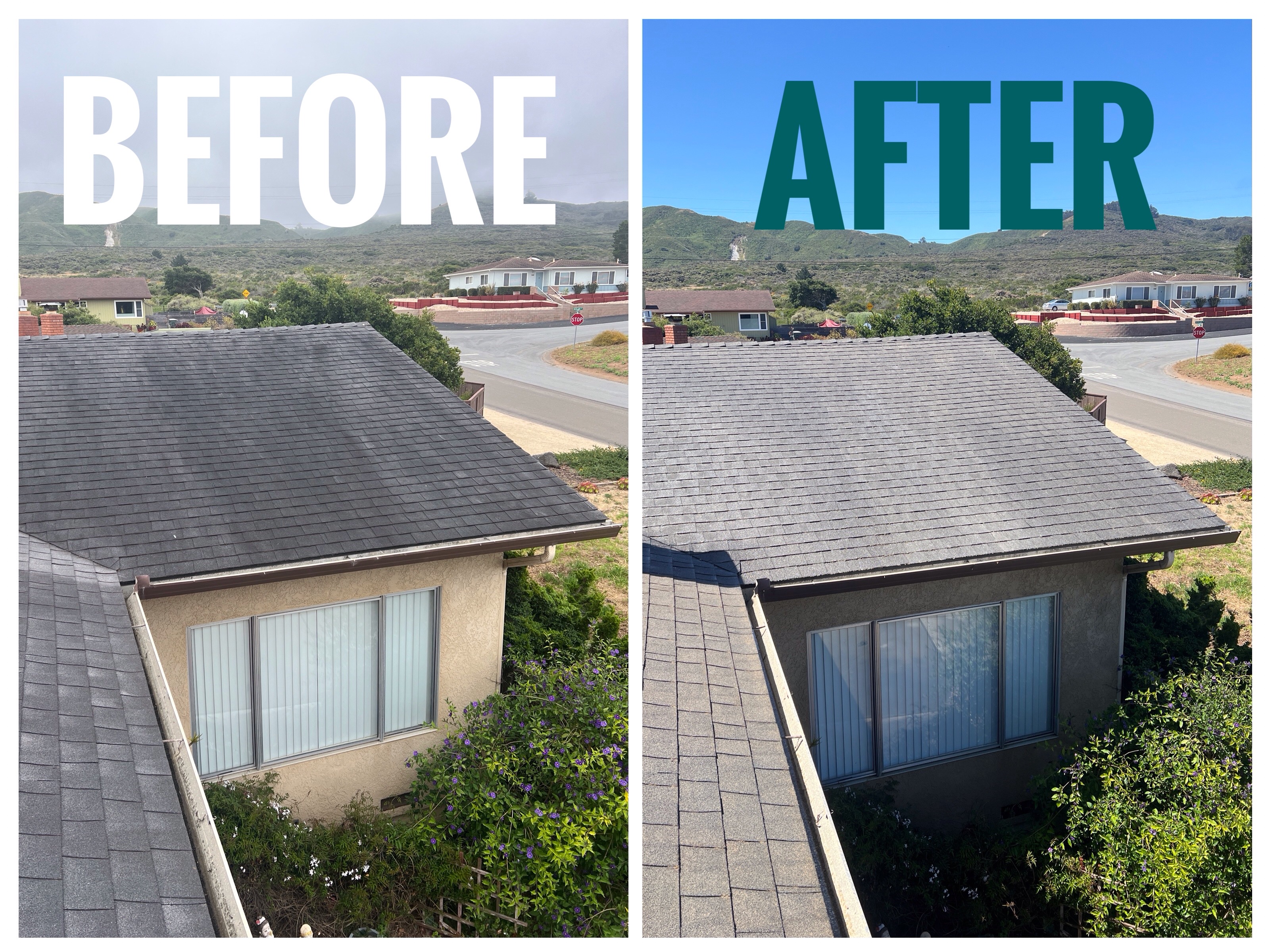 Softwash Roof Cleaning Asphalt Shingle Roof in San Luis Obispo, CA 