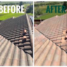 Softwash-Roof-Cleaning-In-San-Luis-Obispo-CA 3