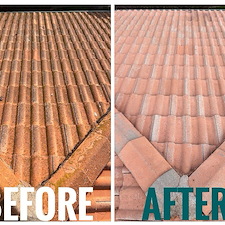 Softwashing-vs-Power-Washing-Choosing-the-Best-Roof-Cleaning-Method-to-Maintain-Homeowners-Insurance-in-Arroyo-Grande-CA 1