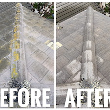 Softwashing-vs-Power-Washing-The-Best-Roof-Cleaning-Method-to-Maintain-Homeowners-Insurance-in-Santa-Maria-CA 2